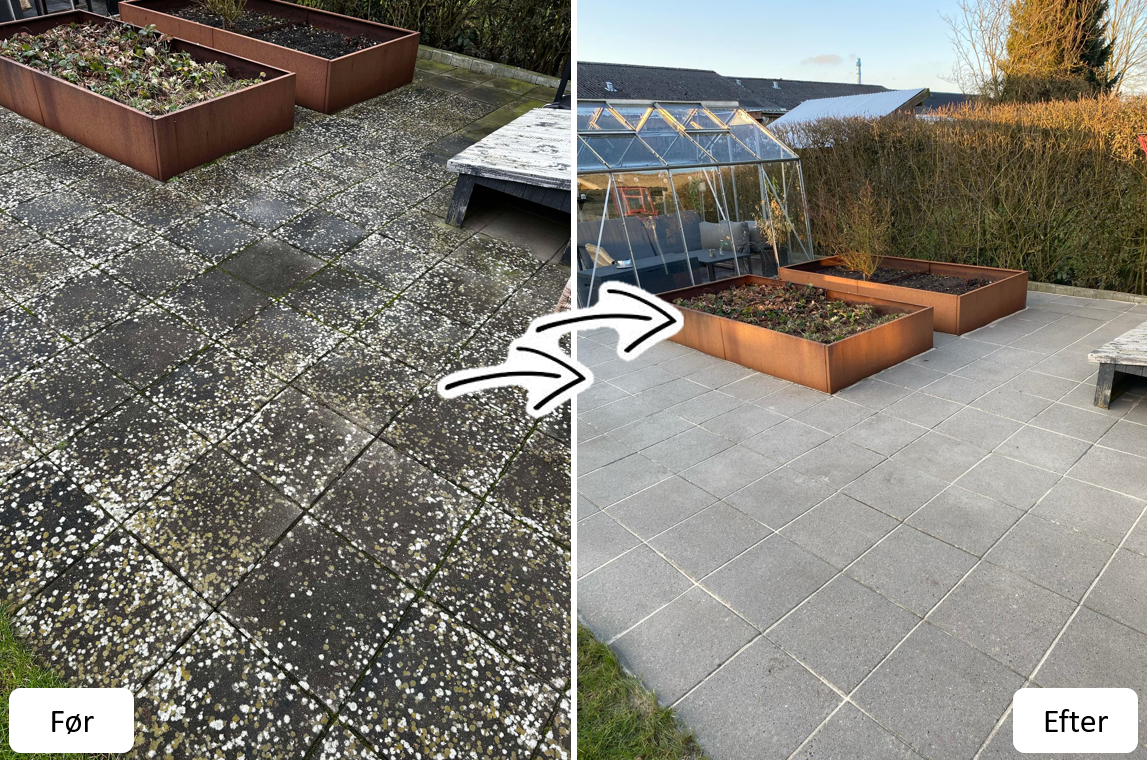 Terrasse med alger og mos — fuldt renset
